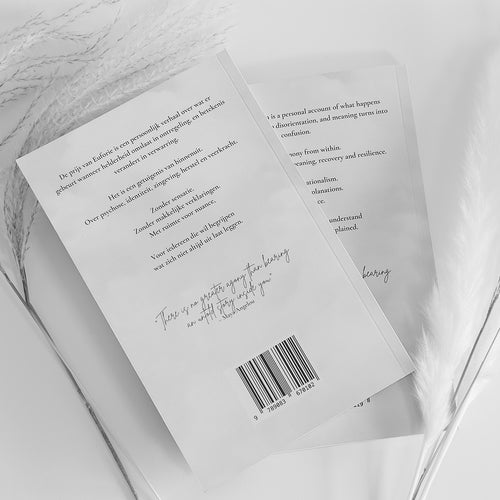 The Cost of Euphoria - A personal journey through disorientation, meaning and recovery (ENG)